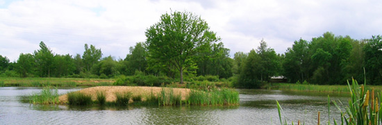 Mesures compensatoires des atteintes à la biodiversité
